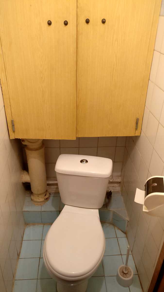 1768681778446774