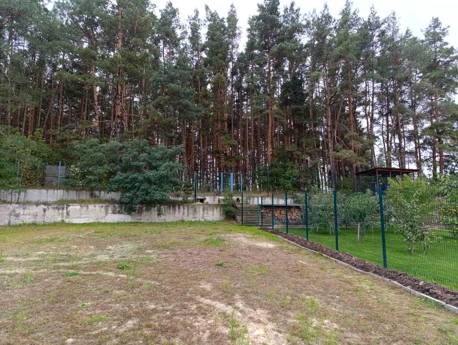 1849674435749811