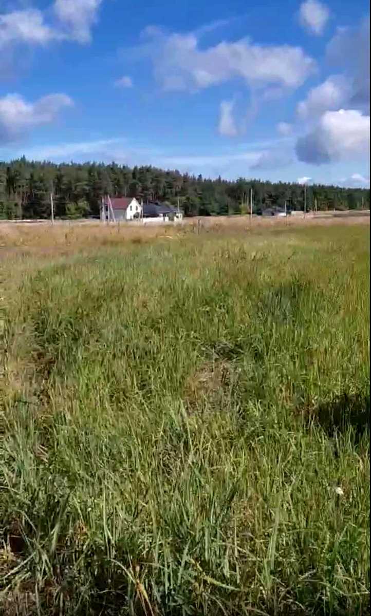 1848337055050655
