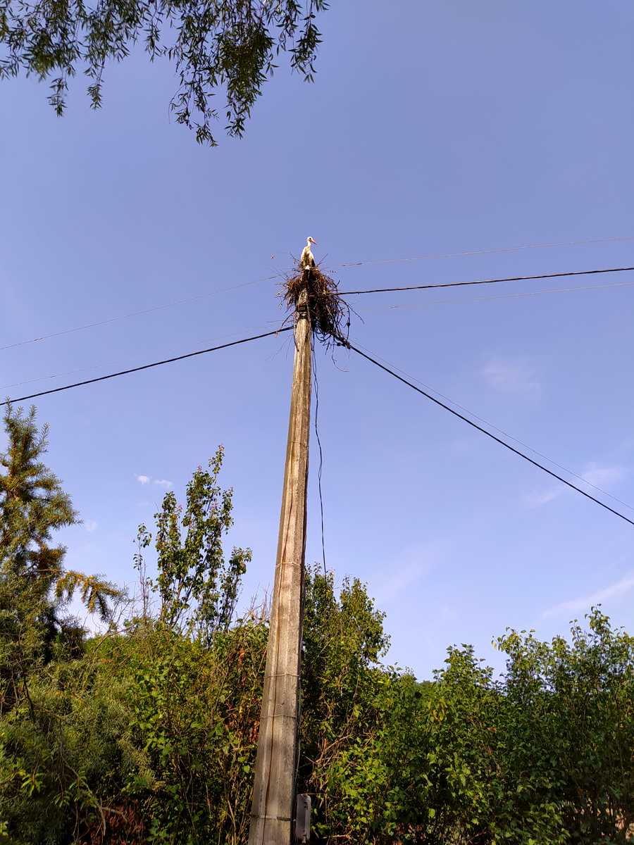1693200264954541