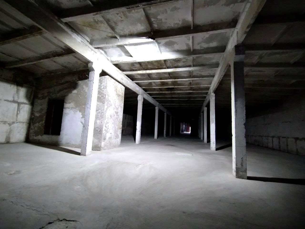 1825026431968158