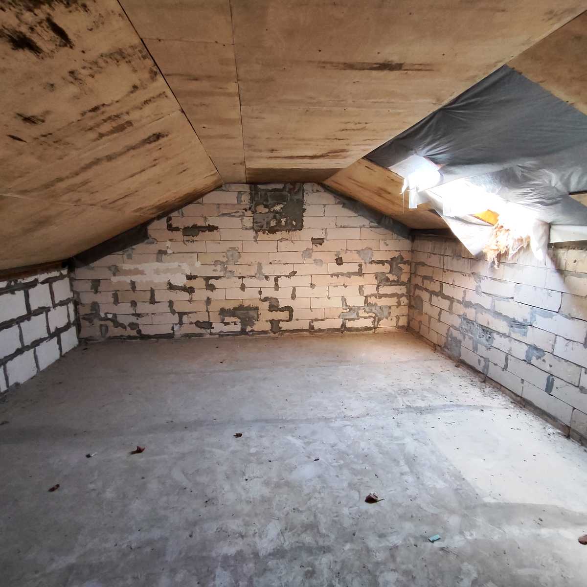 1846761720729819