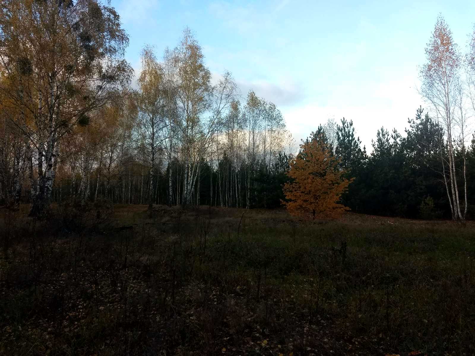 1784542344748301