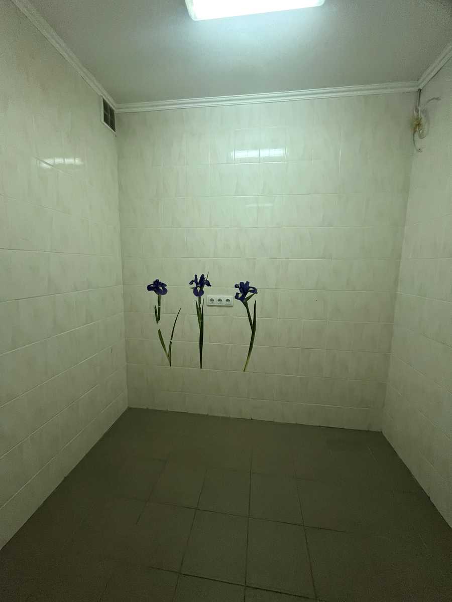 1832816617733755