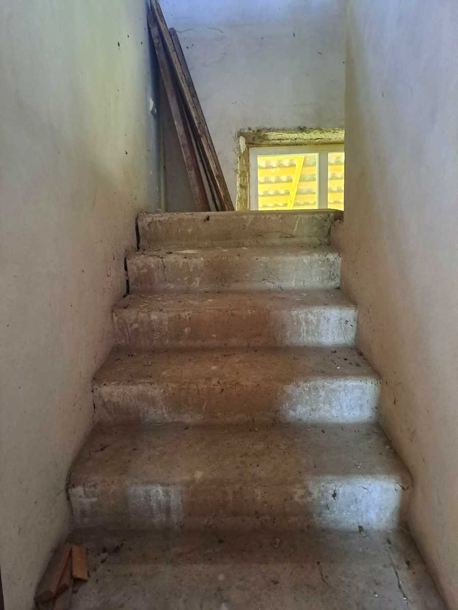 1774387500543657