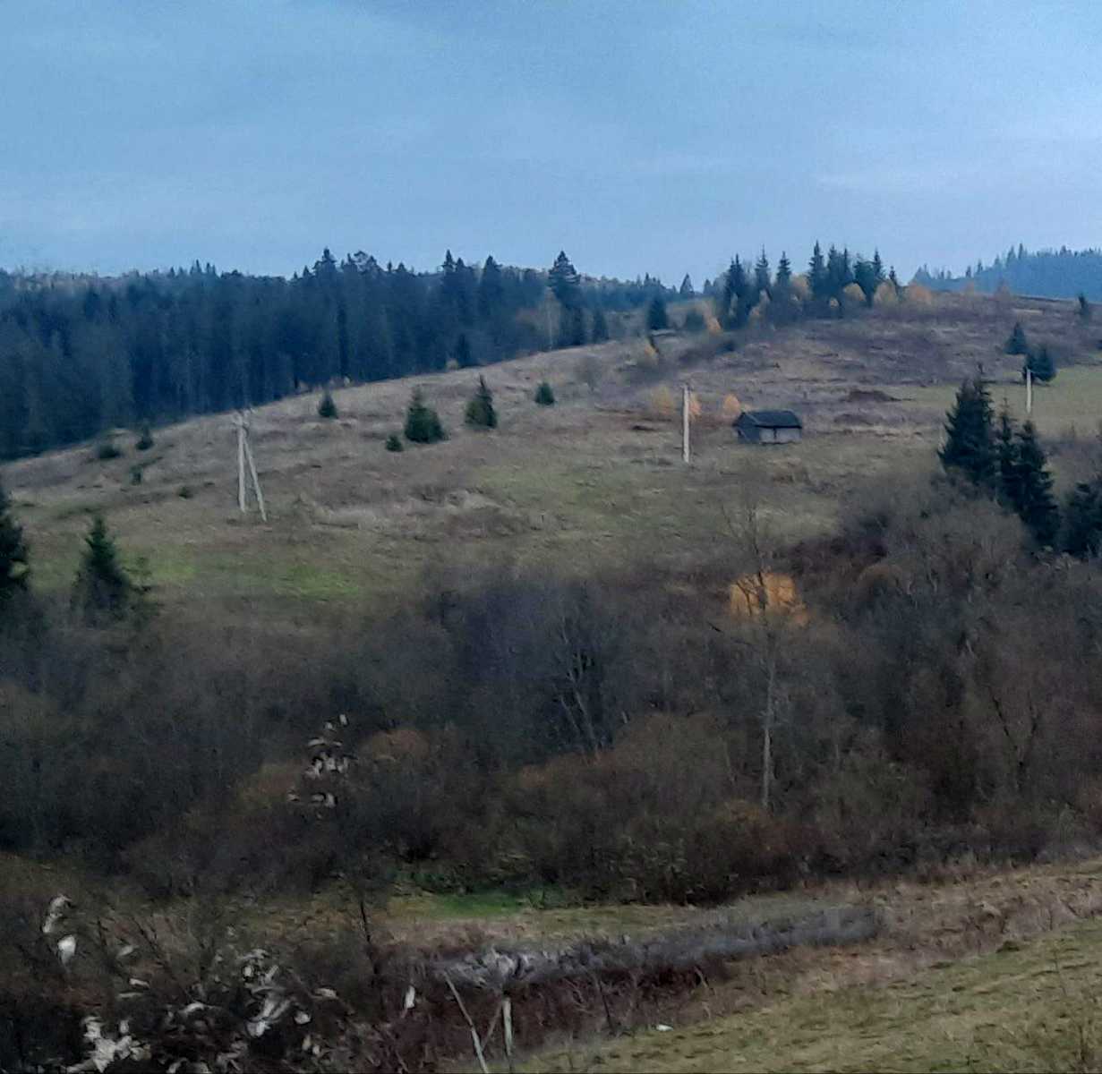 1825745154378177