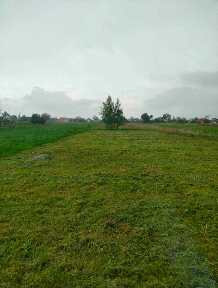 1755264482043996