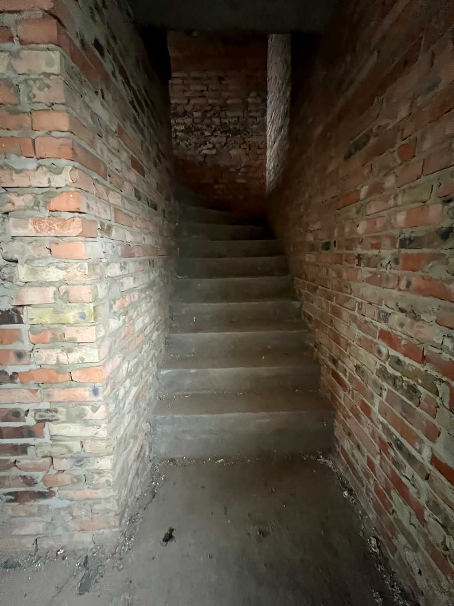 1850620167117271