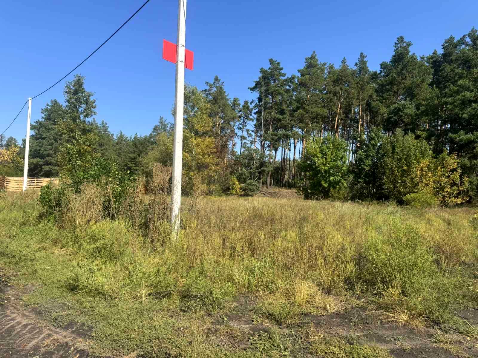 1850388767862781