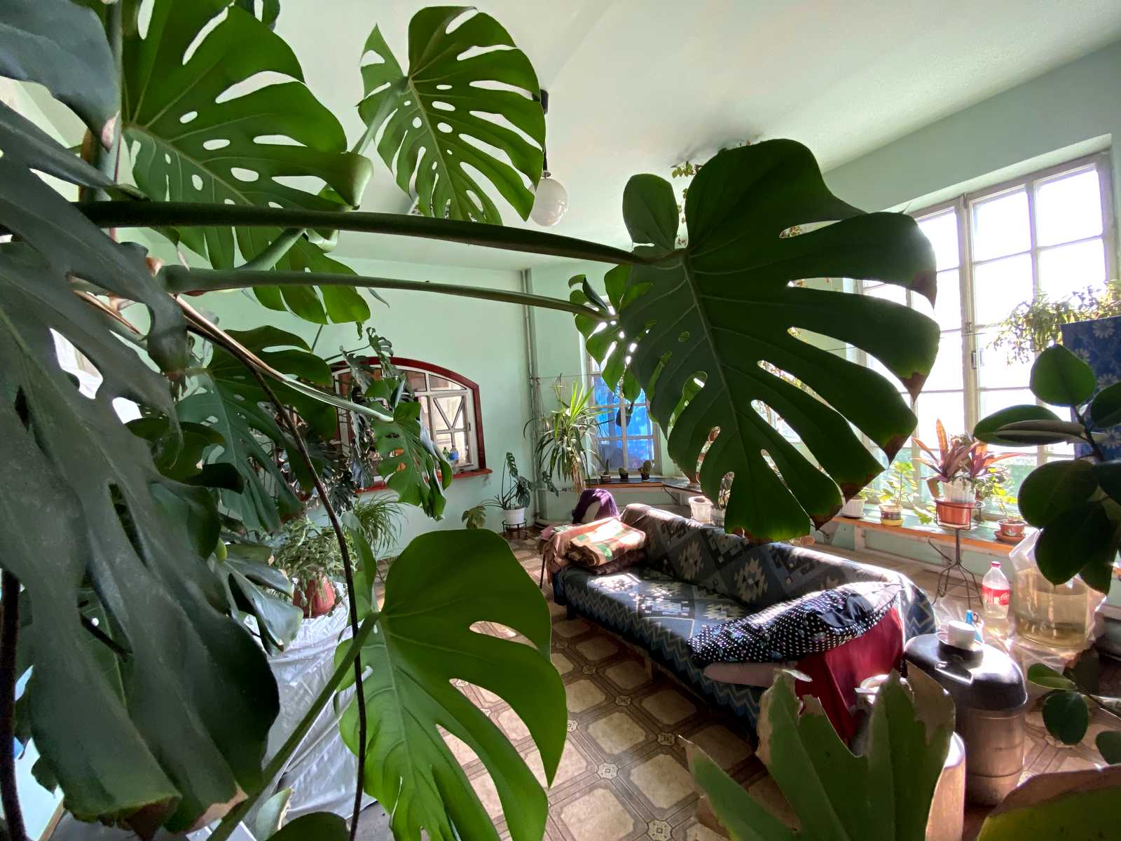 1775308321018813