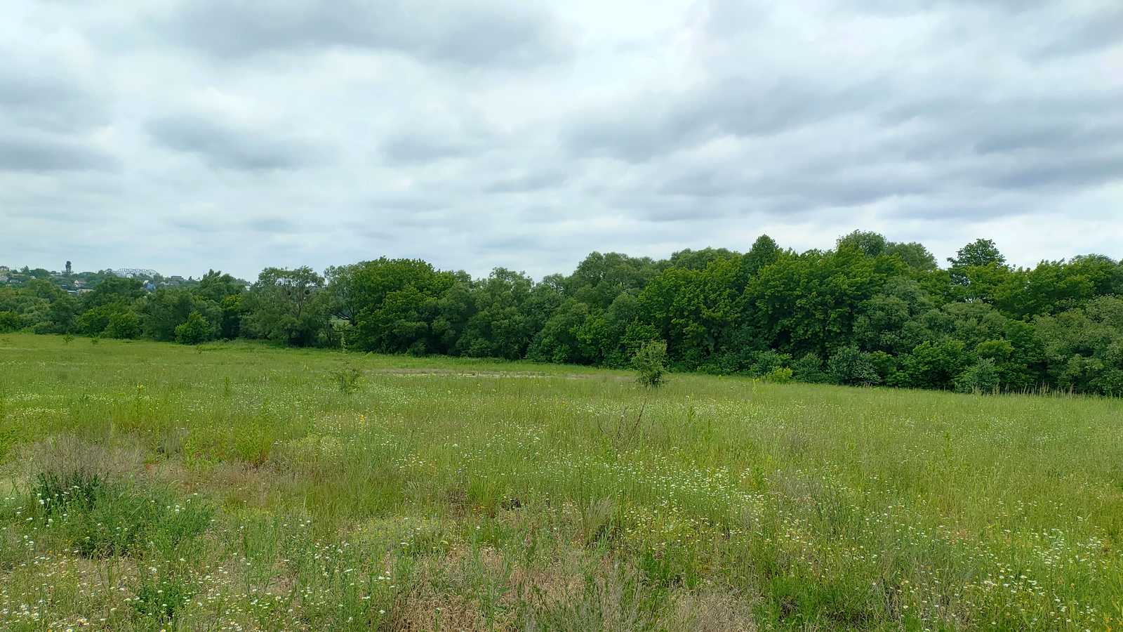 1835181510202004