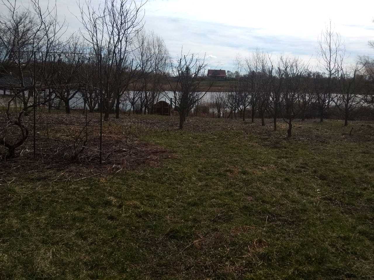 1705198864629755