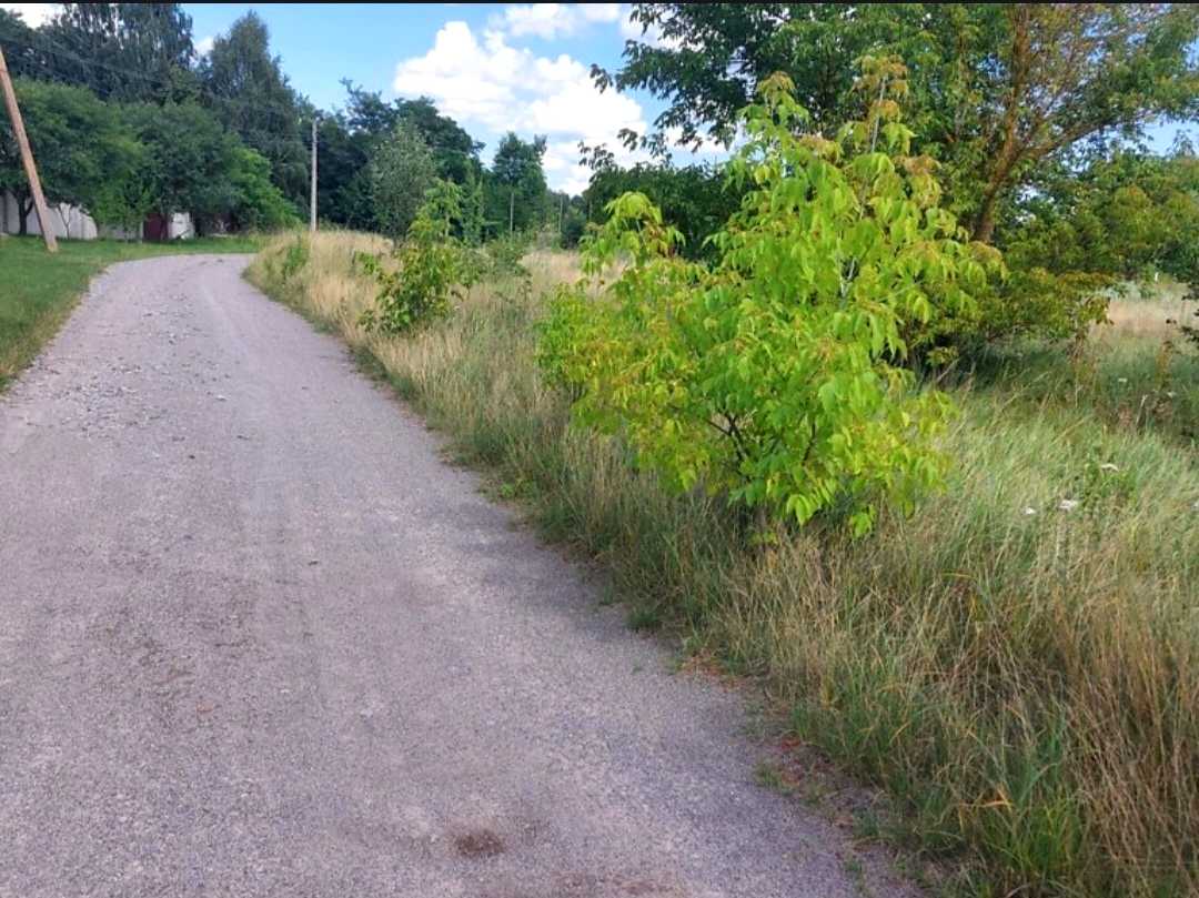 1846585101728346