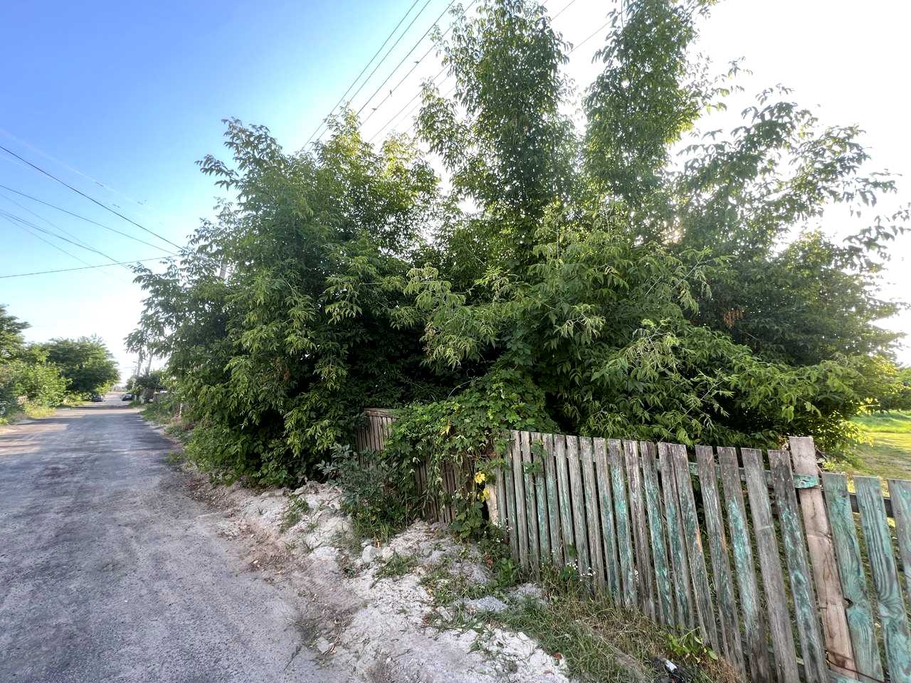 1839970359408620