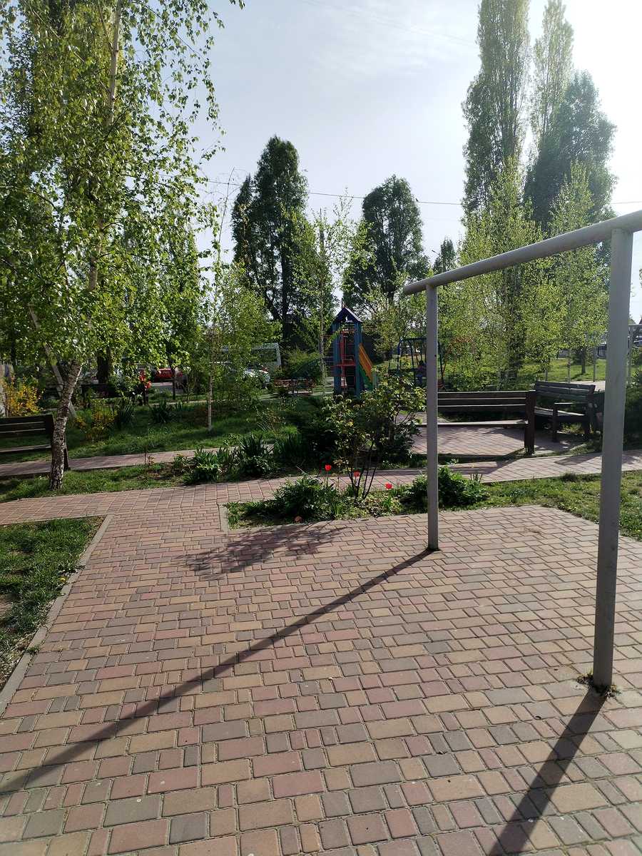 1796336231593678