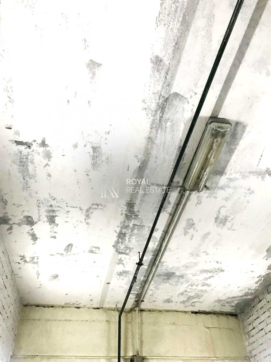 1850518189011820