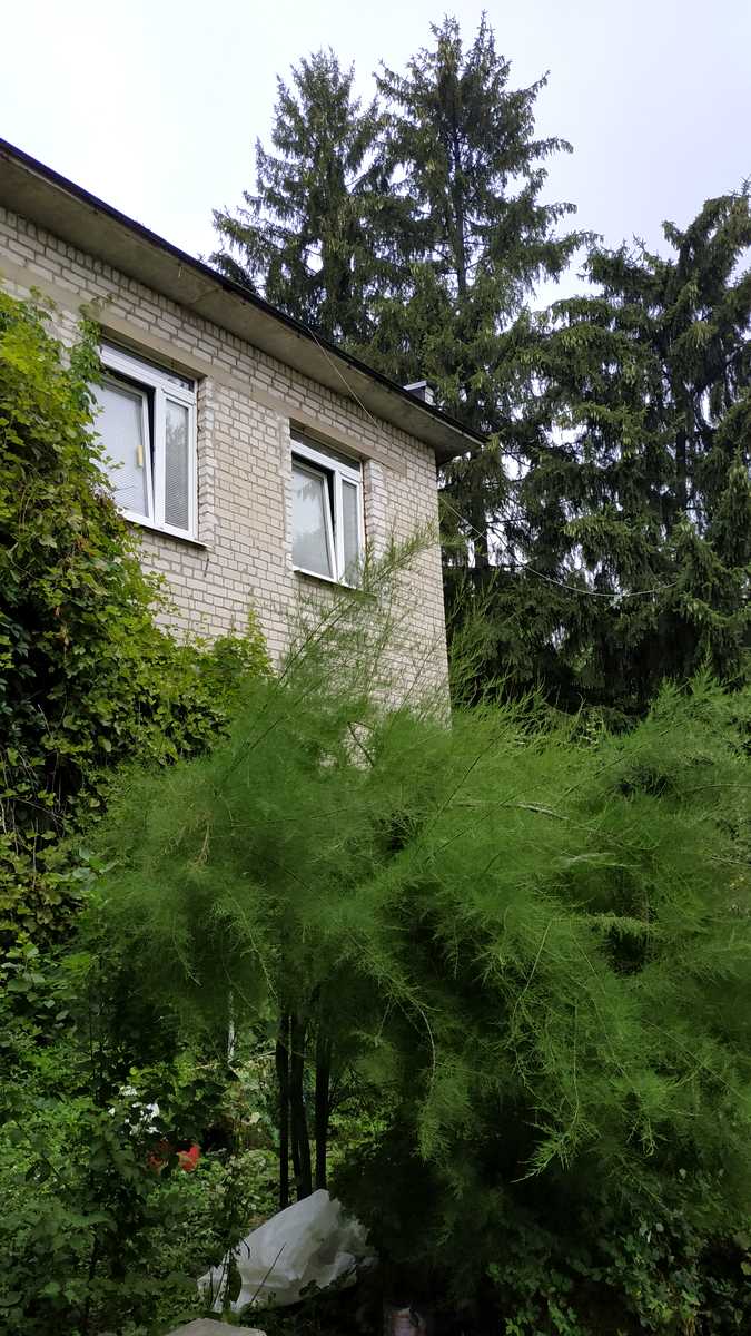 1674825903487587