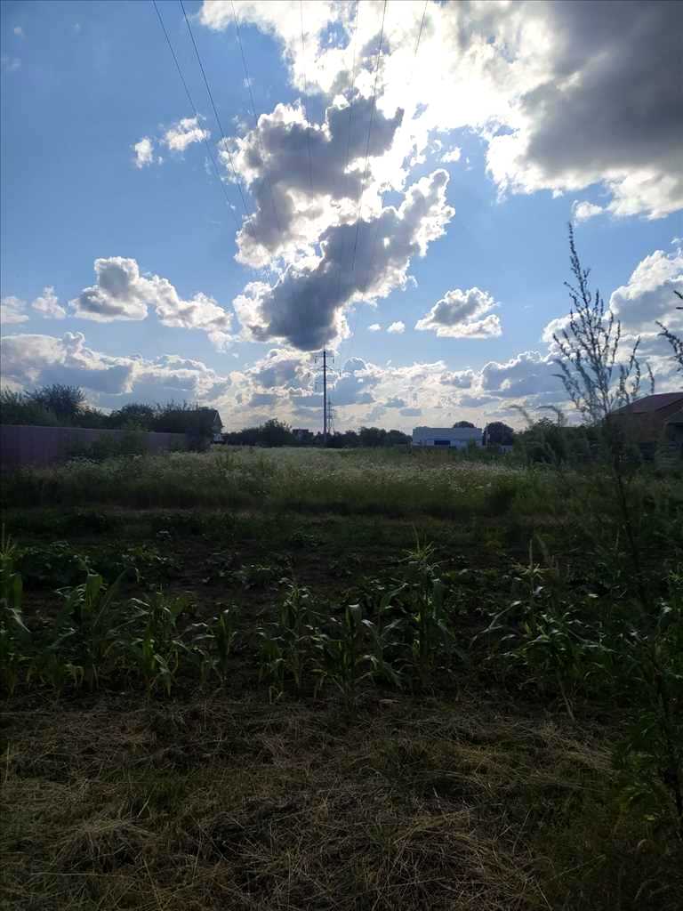 1779554874056554
