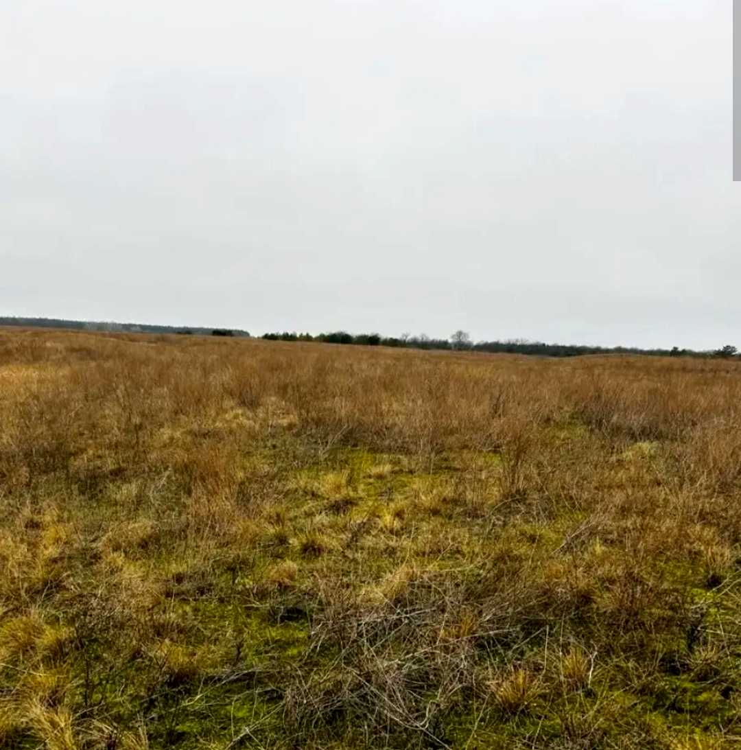 1848324469325573