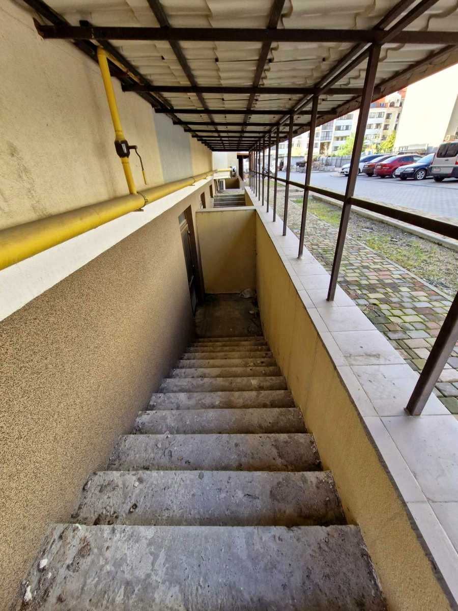 1850384385737645