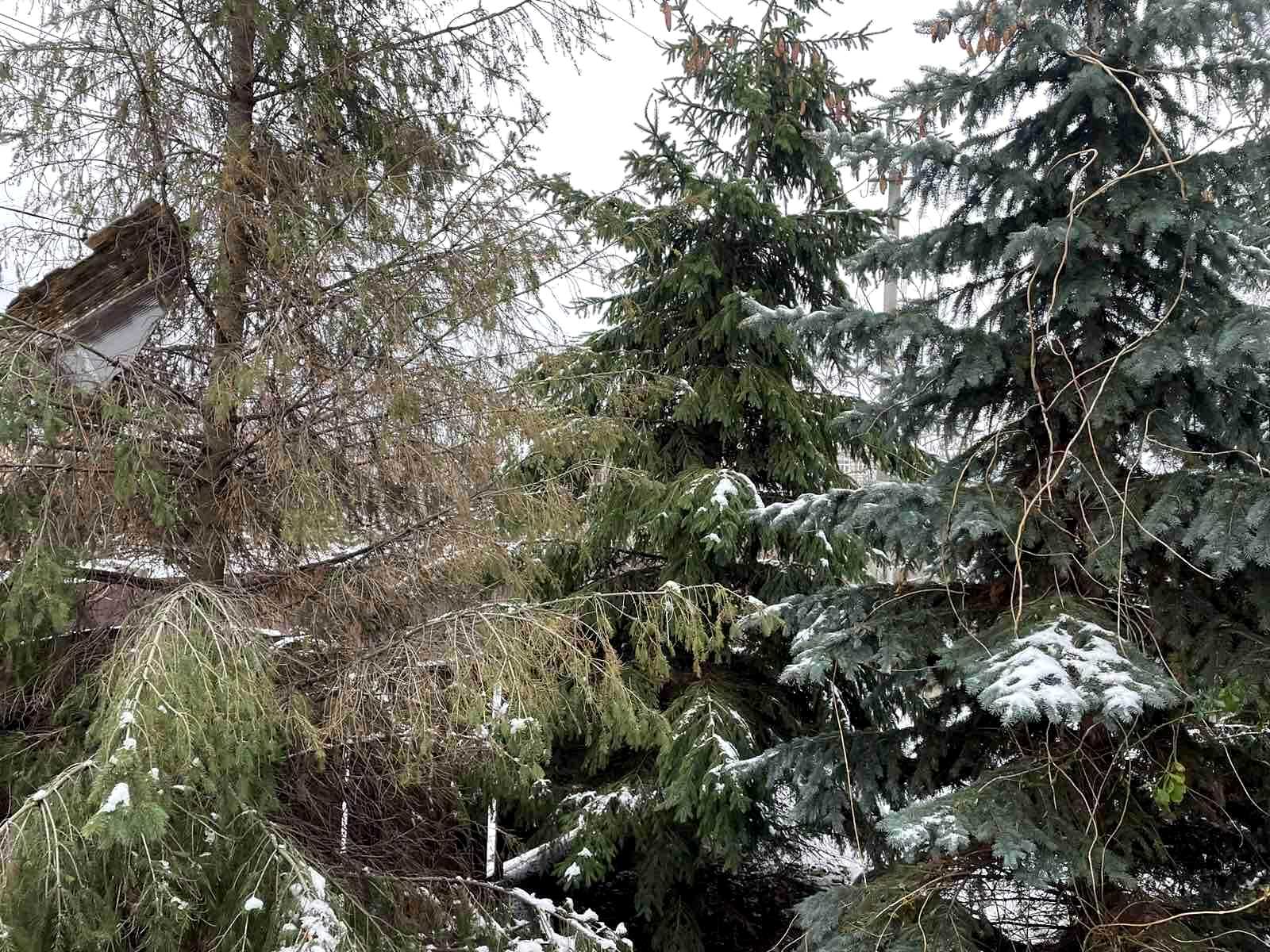 1812366395085804
