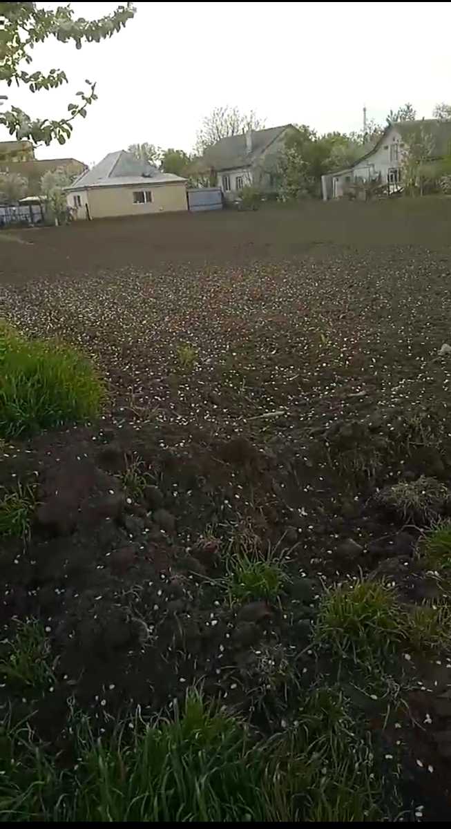 1830641004273876