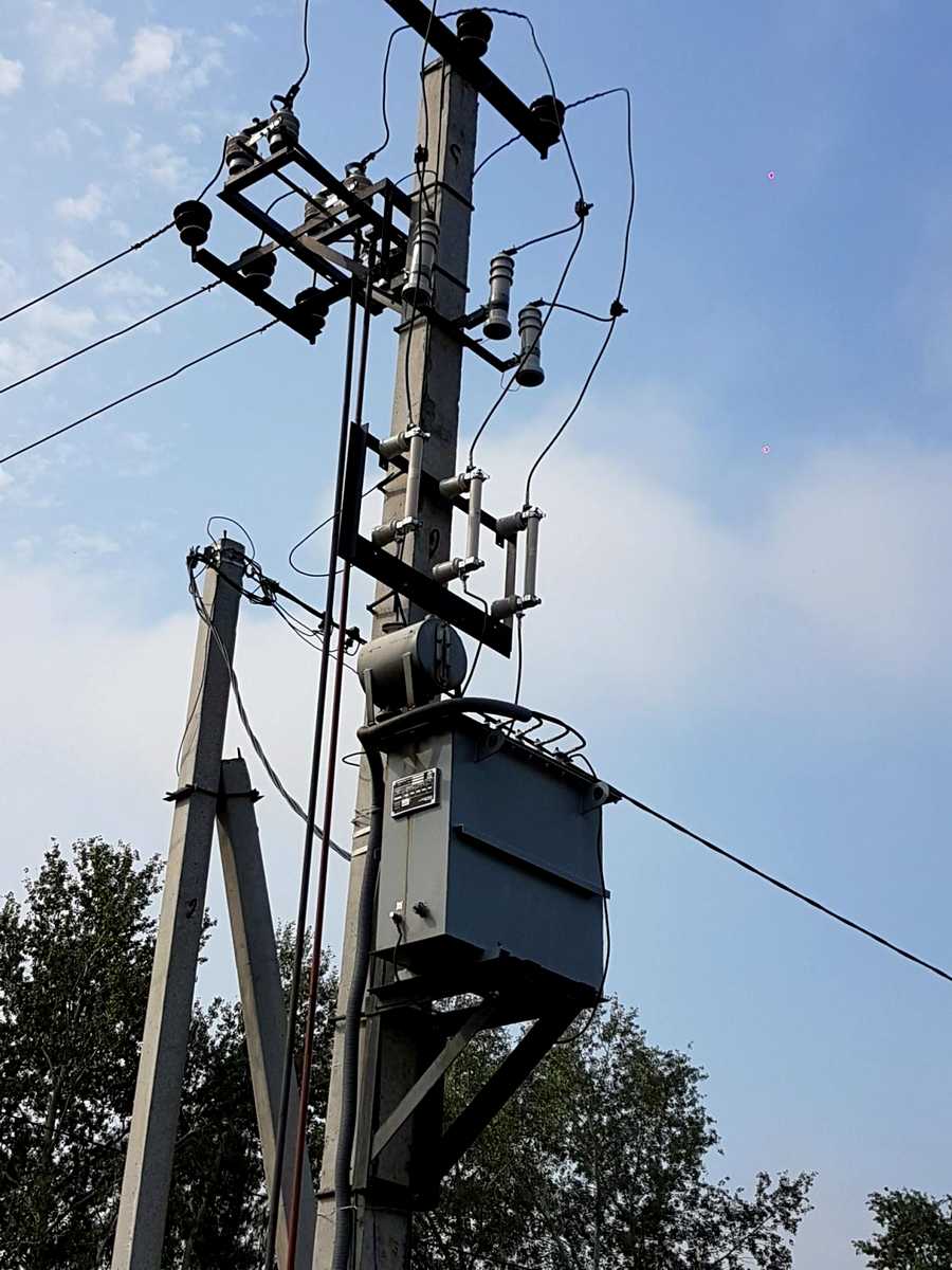 1787558264506798