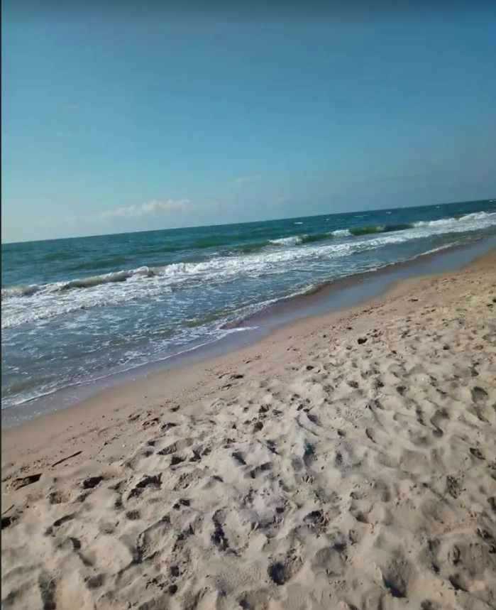 1838260695755956