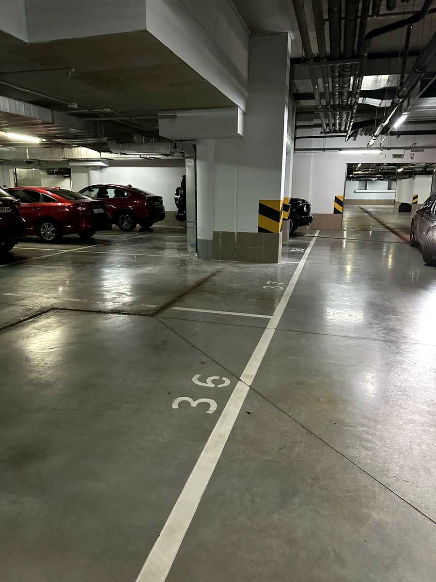 1779405017845243