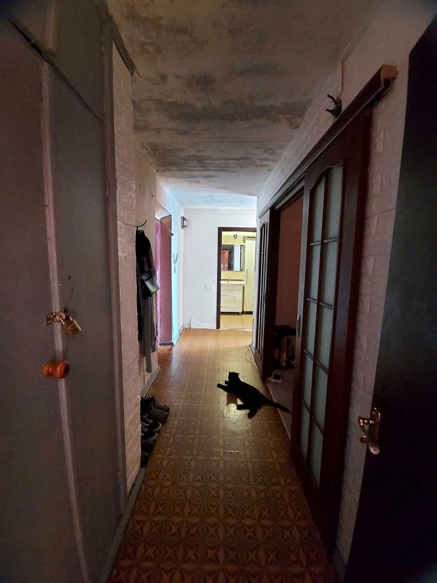 1843969009576216