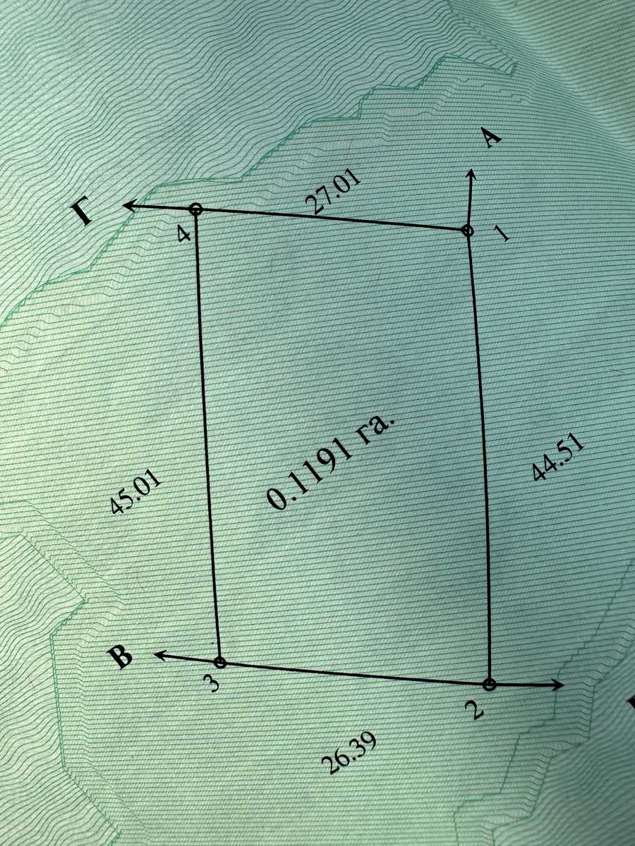1770578837308137