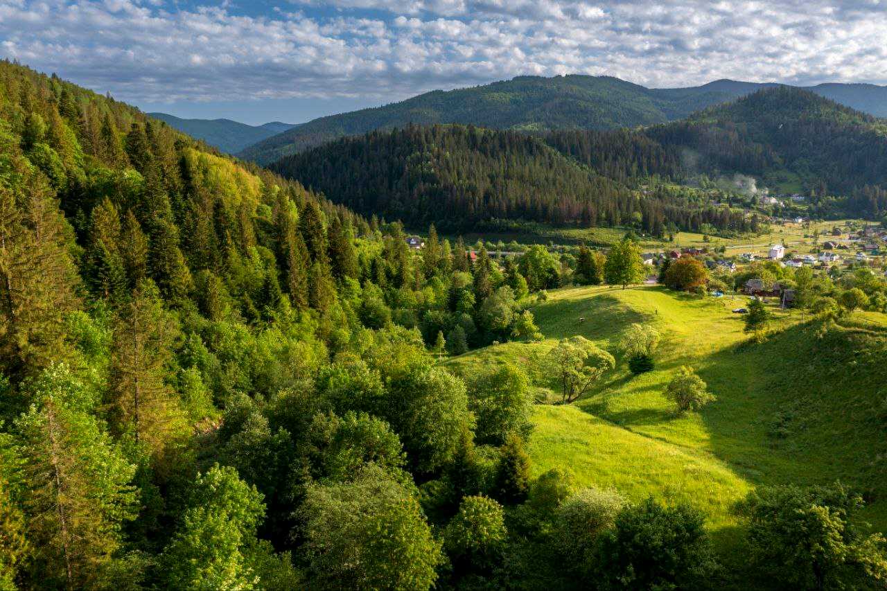1826390735847356