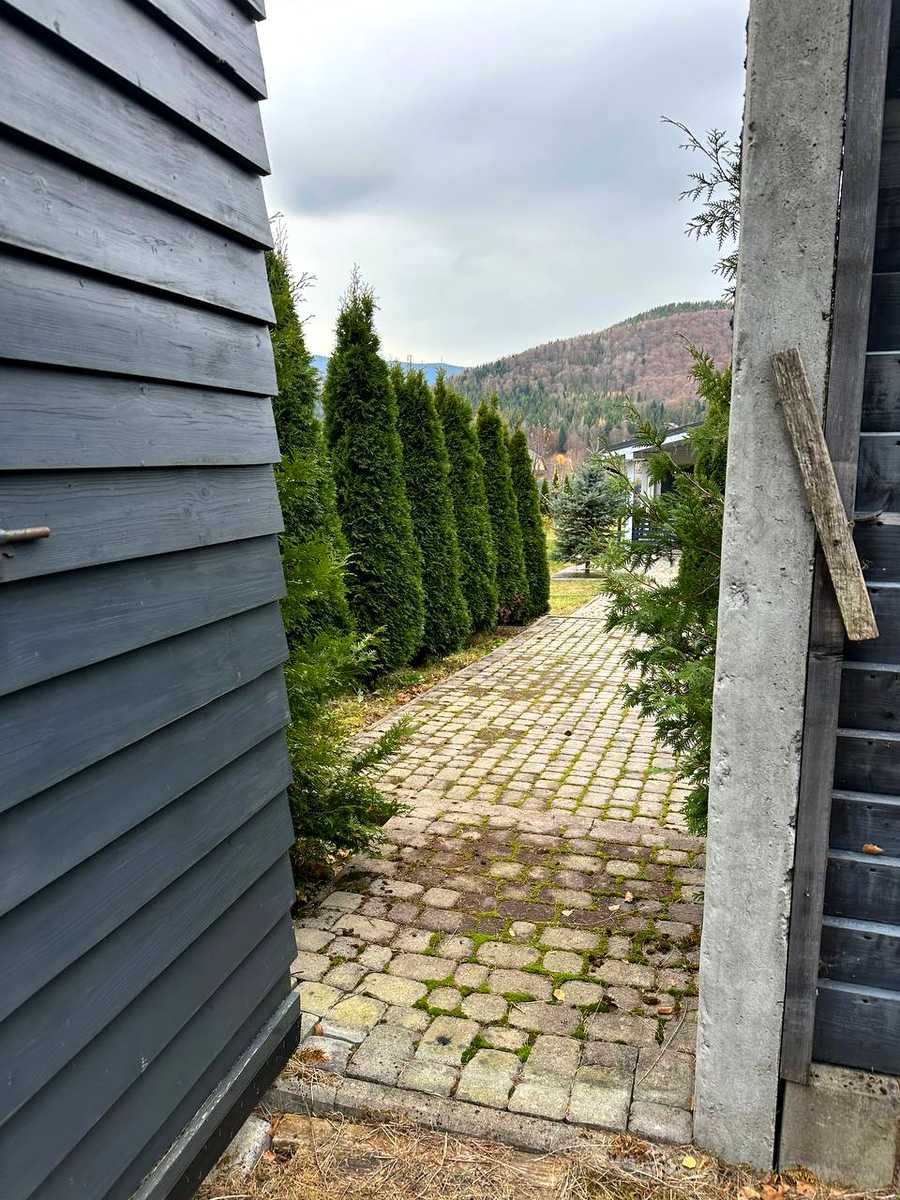 1847857716628816