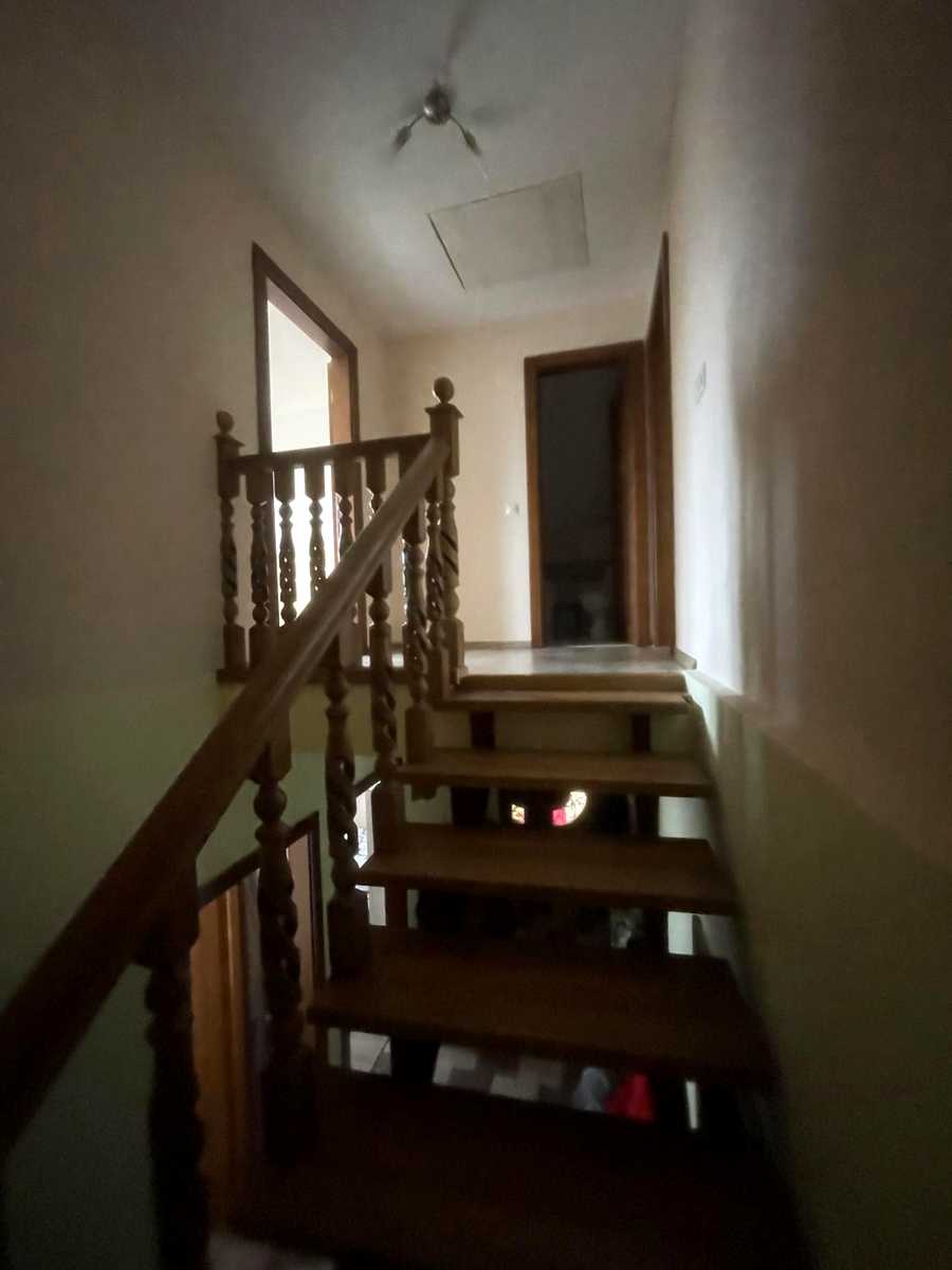 1850515499543567.jpg