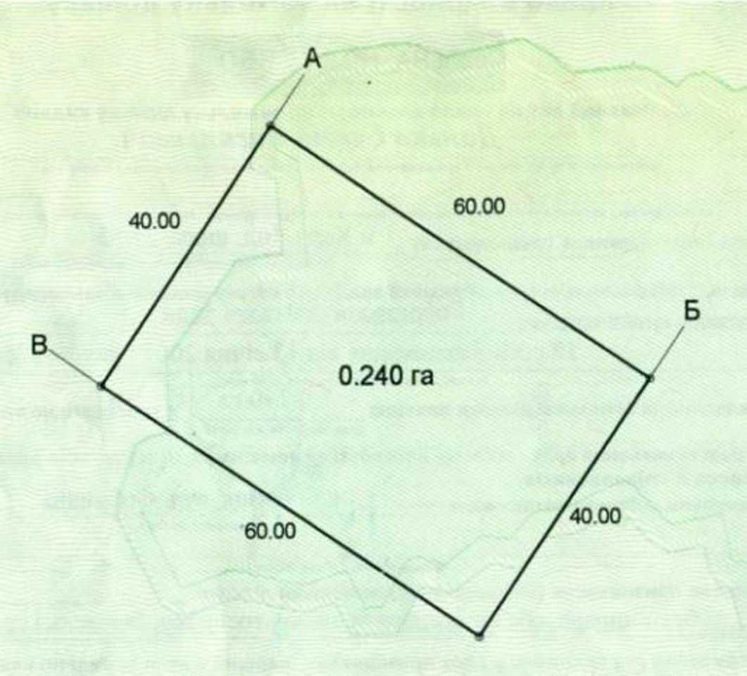 1773025806377762