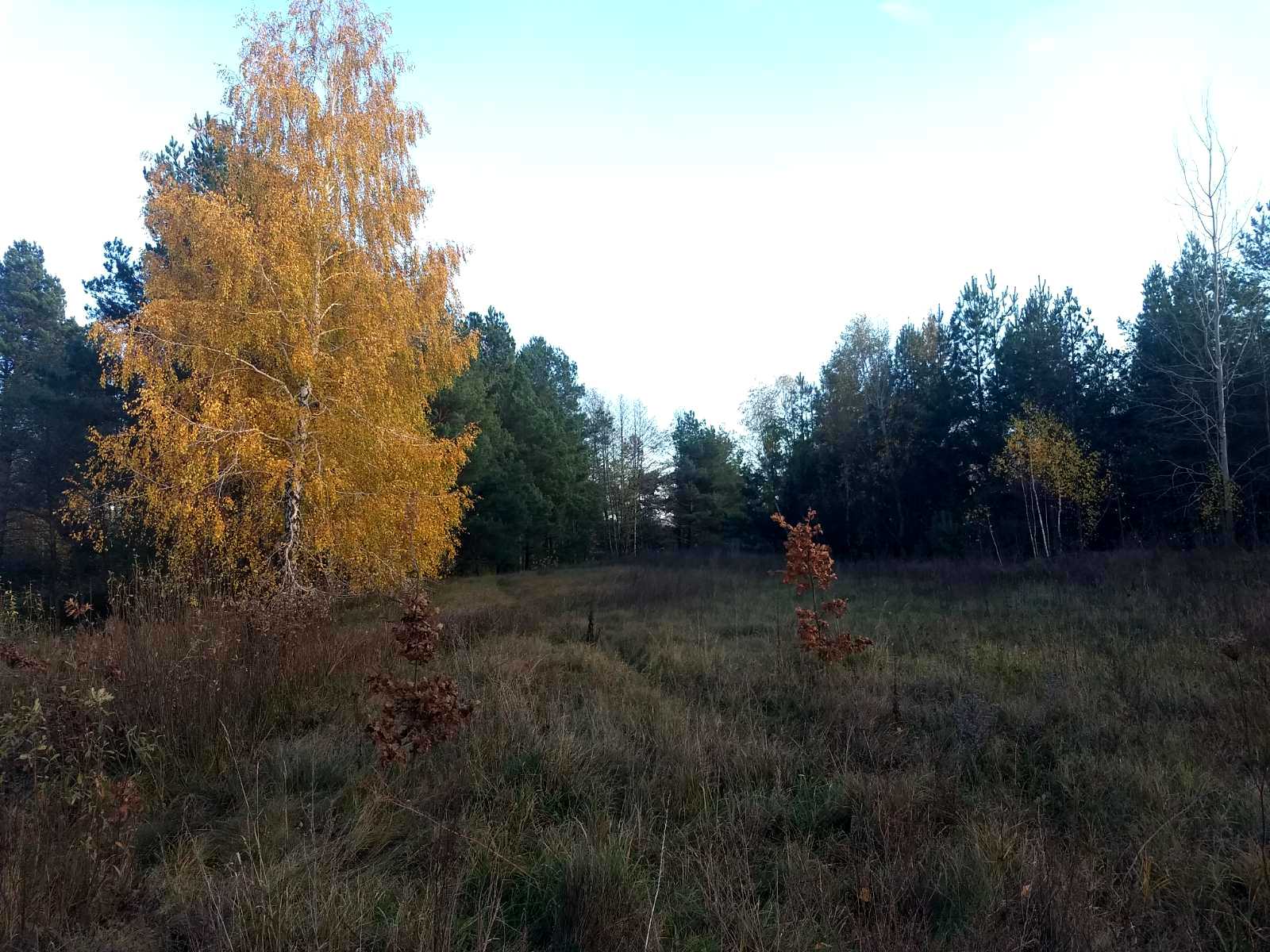1784542344103692