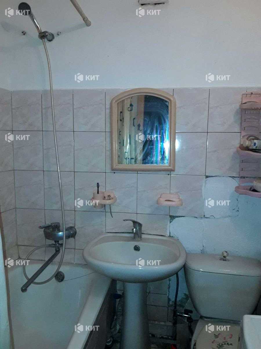 1849679284350257