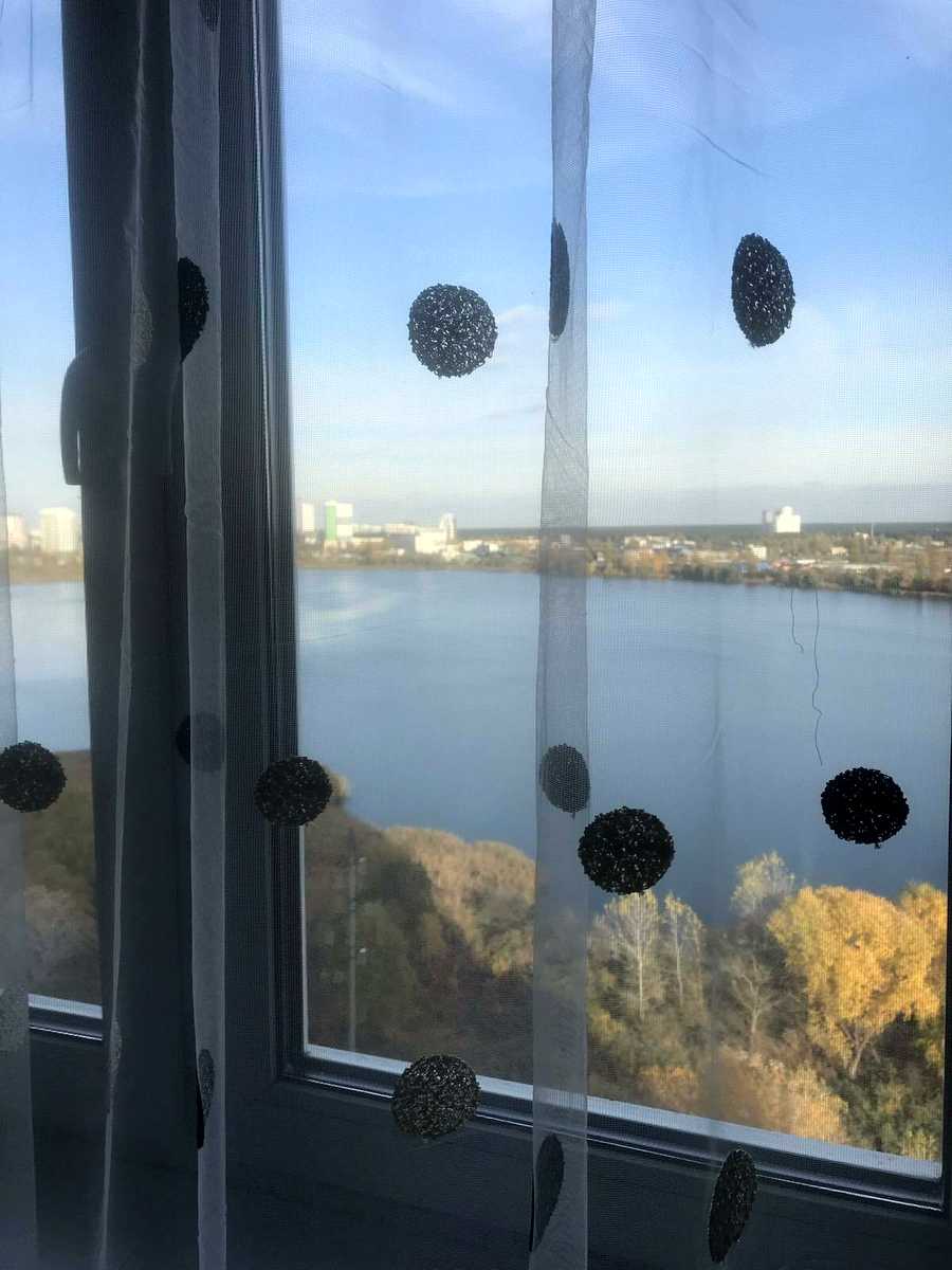 1834539945118385