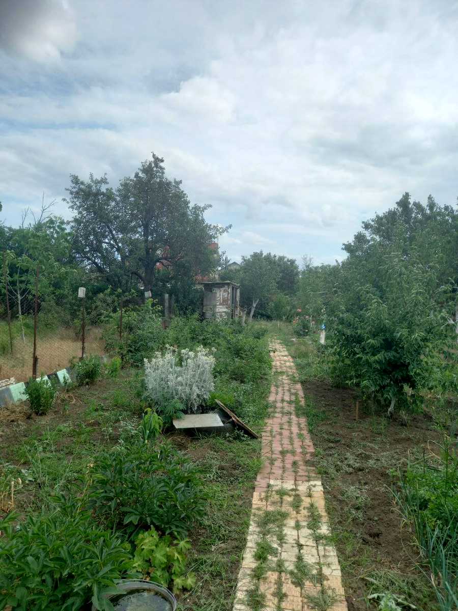 1834844251441036