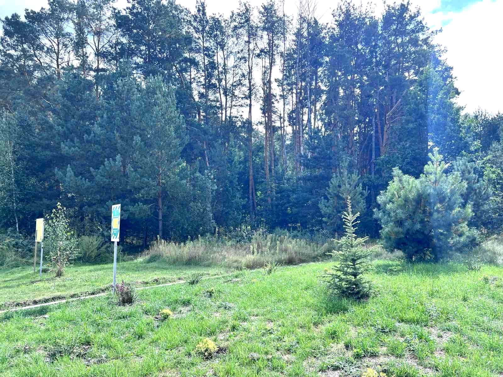 1848467206849995