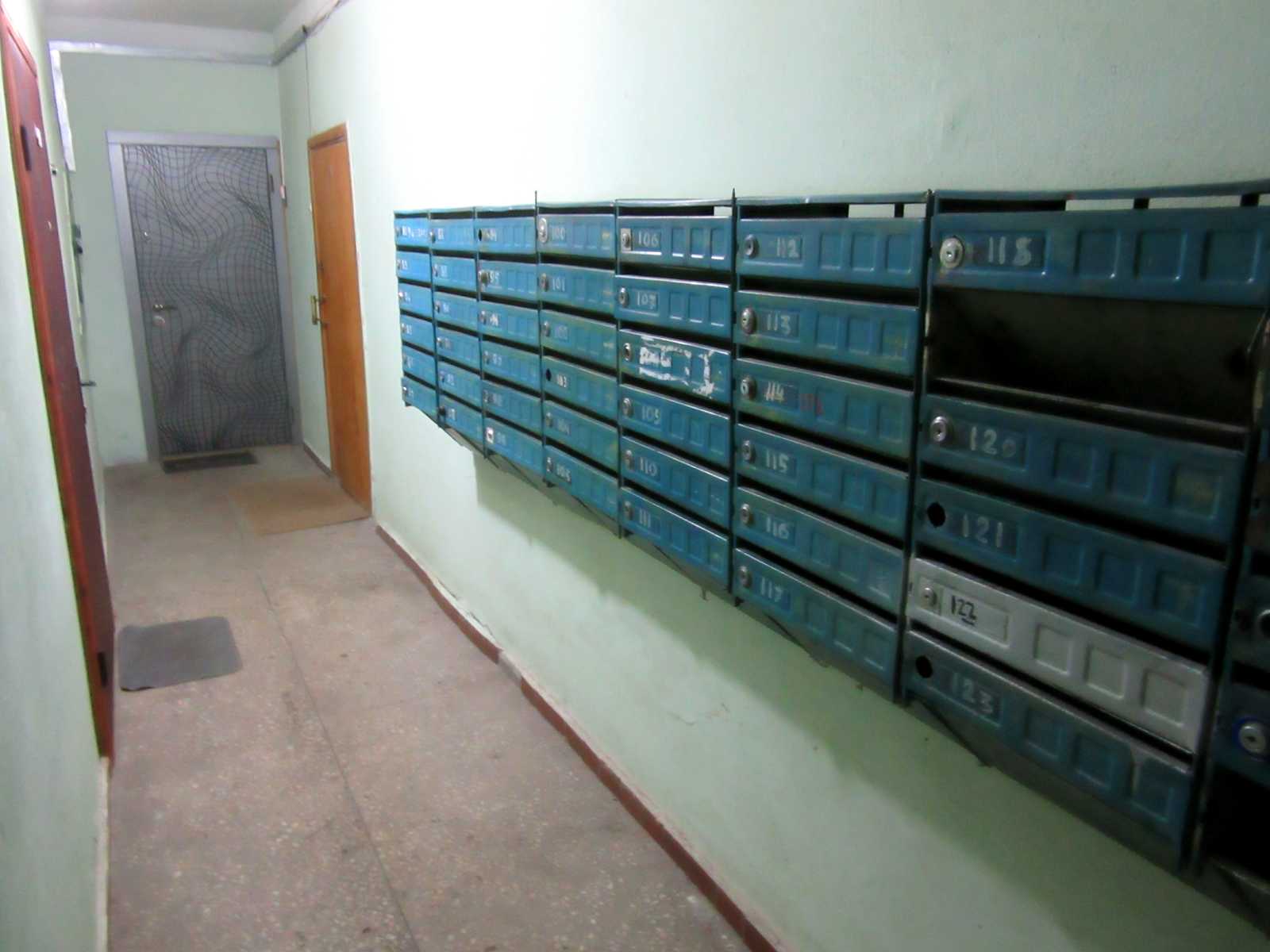 1776763565673169