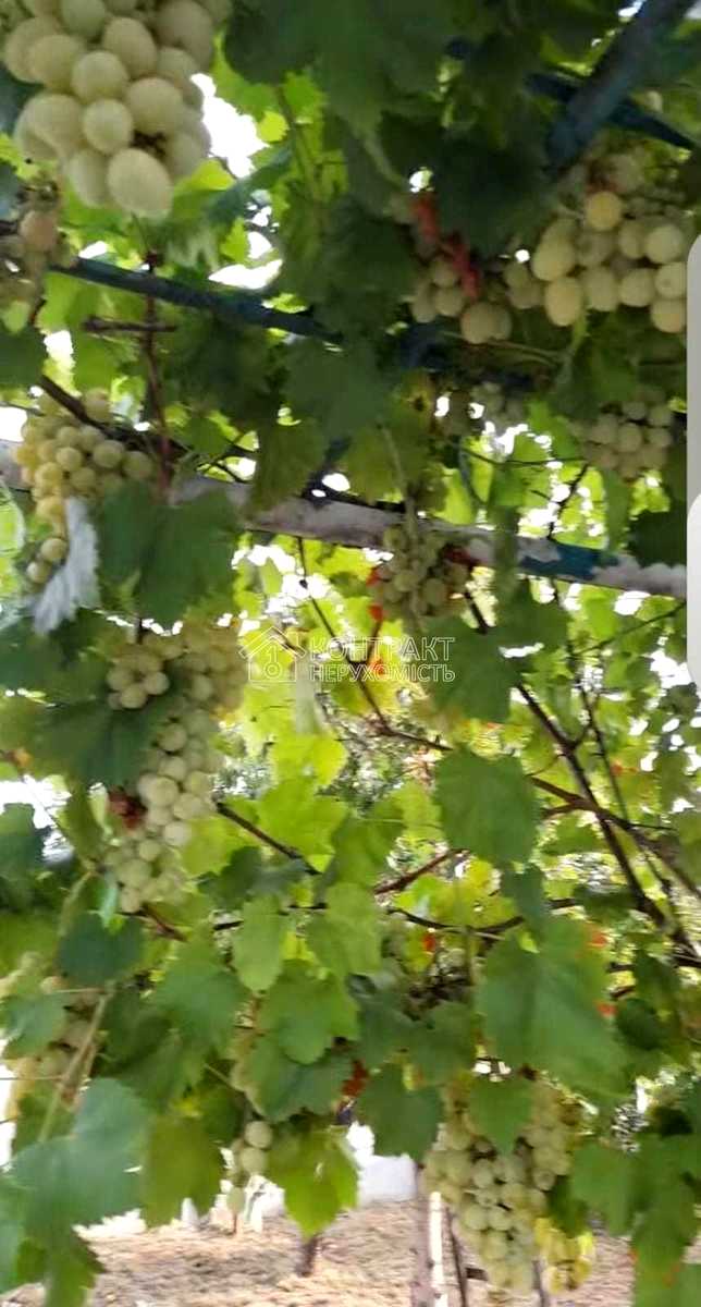 1849045516622570