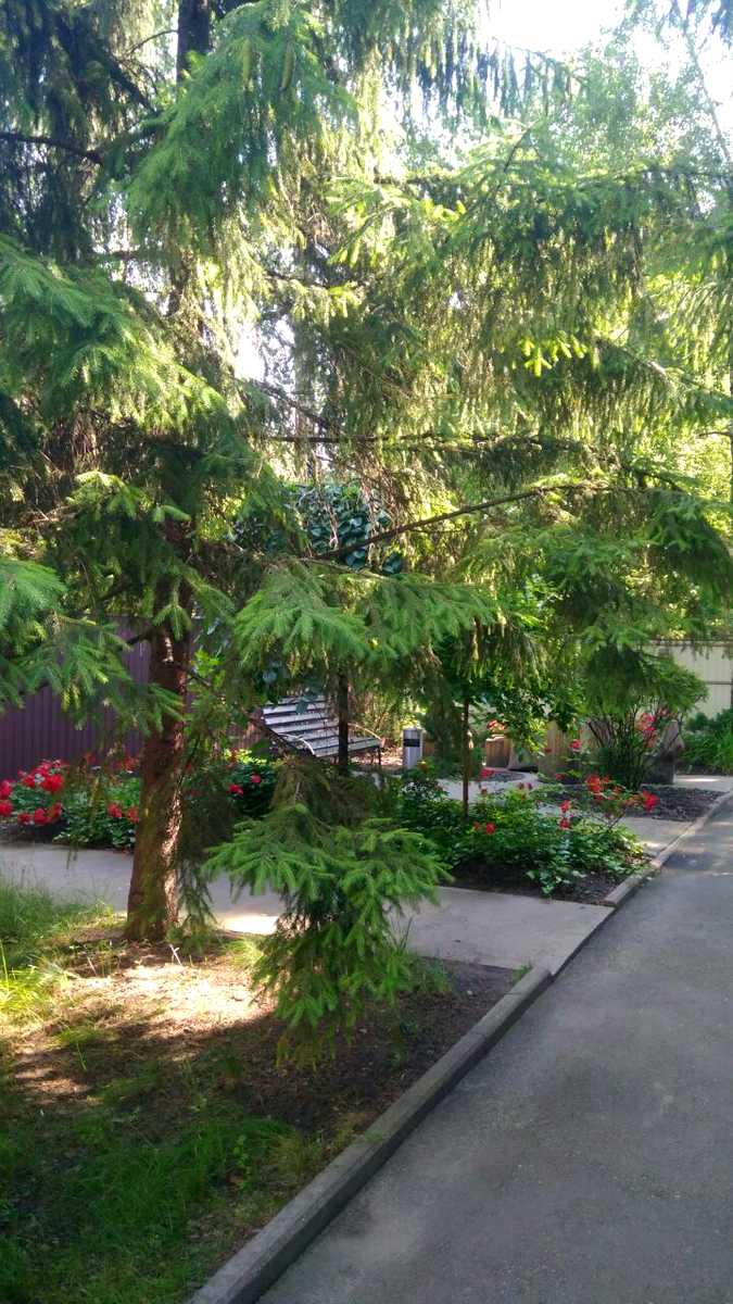 1735519647093526
