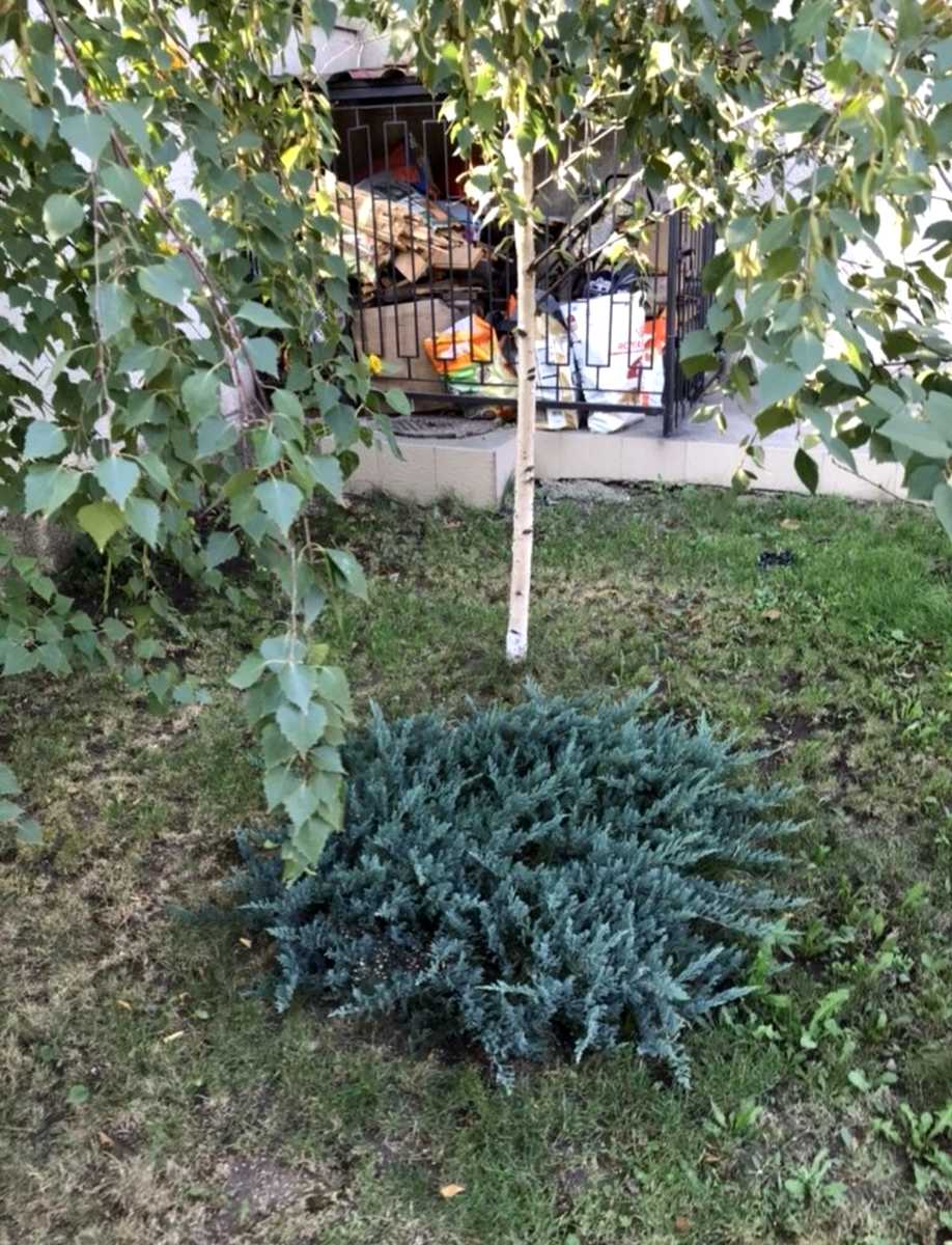 1829478965761552
