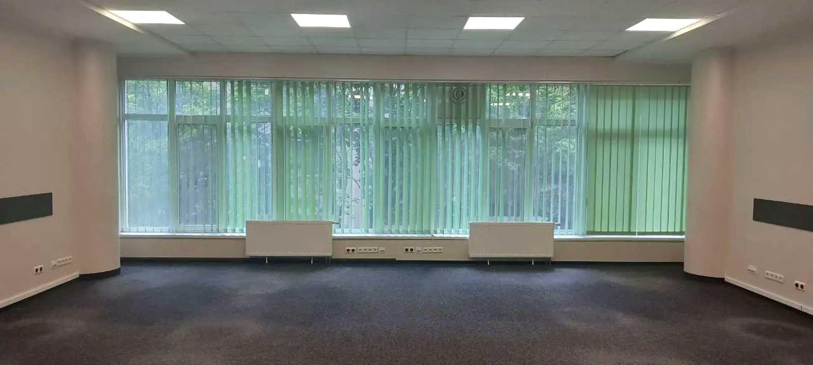 1849215388269599
