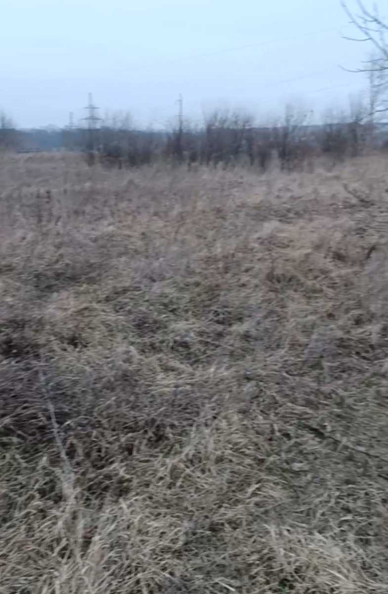 1823771538106350
