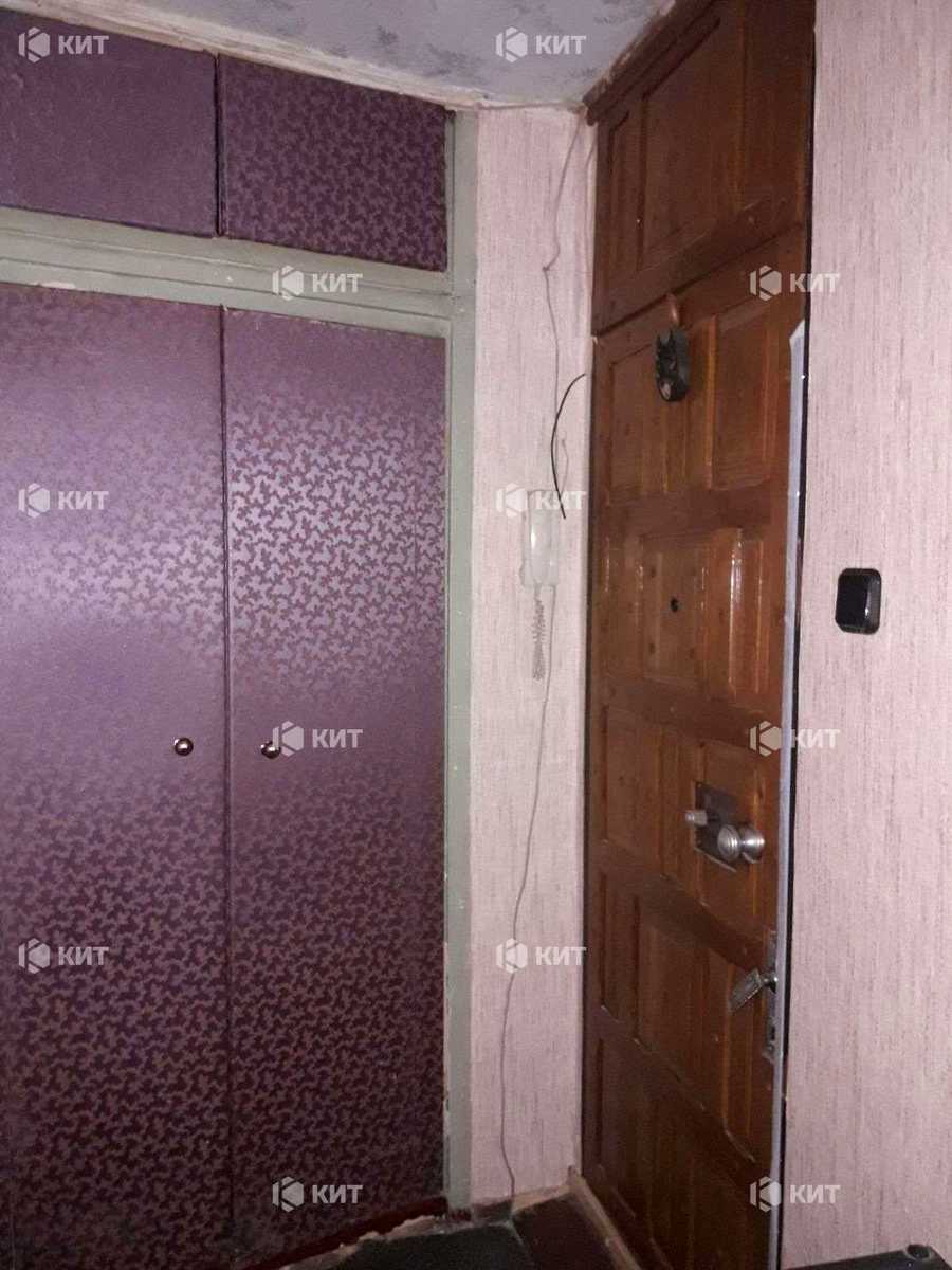 1849679284654063