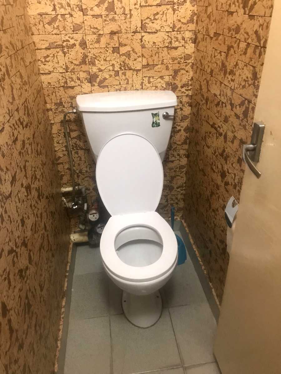 1810282292532381