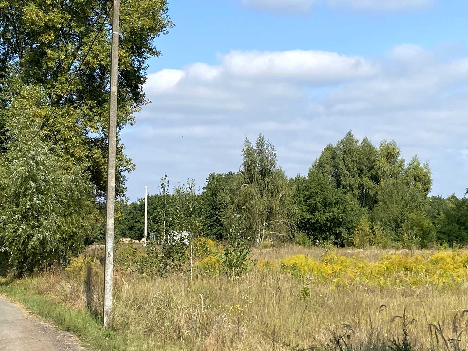 1813735626026852