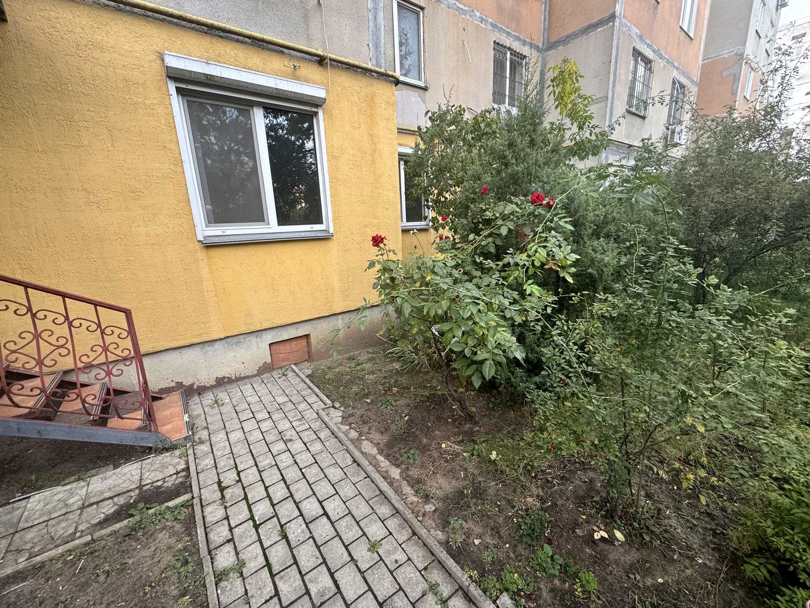 1845390297885806